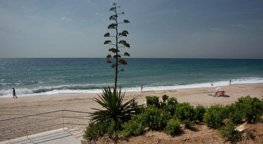 Apart. A-Dorada Miami Playa Apartment Exterior photo